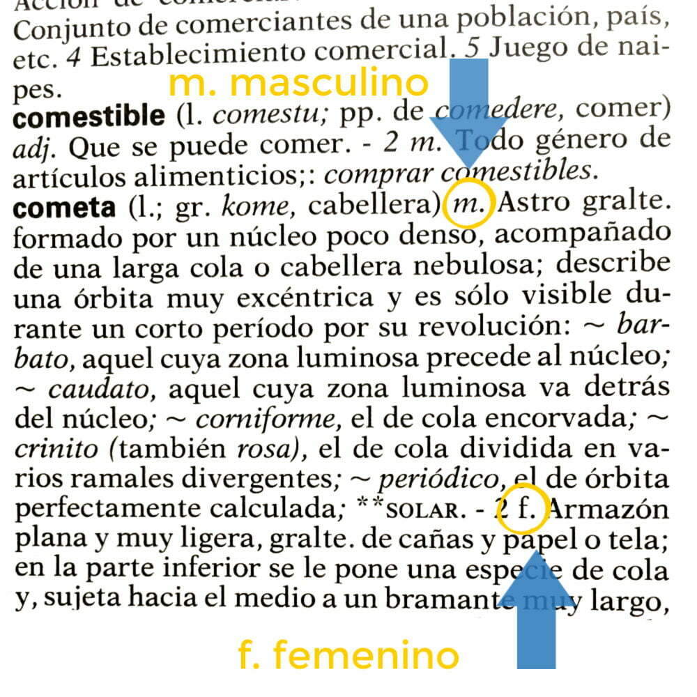 picture of spanish dictionary entry with arrows pointing to m. masculino and f. feminino